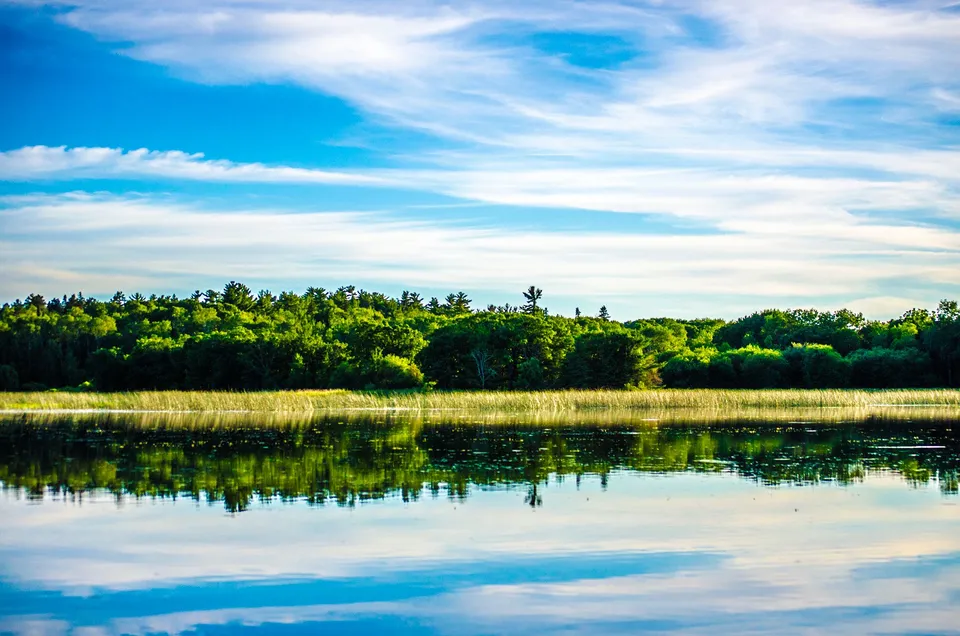 A serene view of Lake of the Woods with lush green forest and vibrant sky reflections.