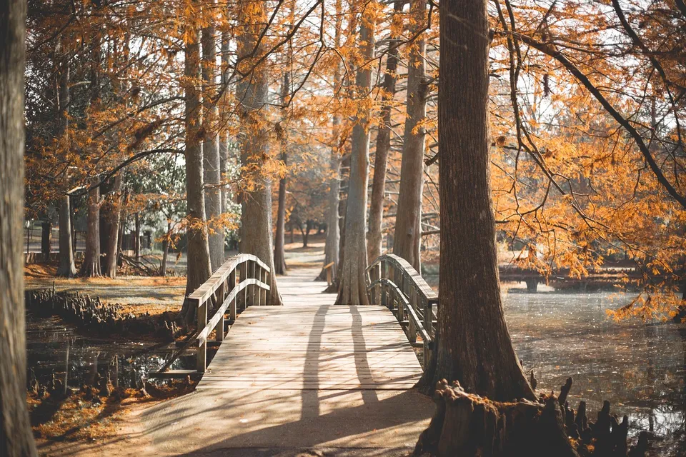 bridge, park, outside, walk, path, journey, landscape, nature, travel, outdoors, tree, scenic, tourism, lake, river, pond, garden, bridge, bridge, park, outside, outside, outside, journey, journey, garden, garden, garden, garden, garden