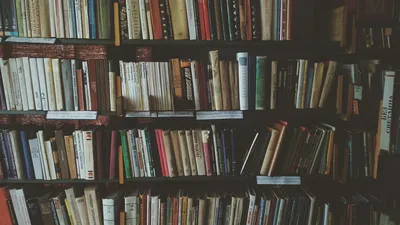 bookcases, books, bookshelves, knowledge, library, literature, novels, read, reading, bookworm, library, library, library, library, library